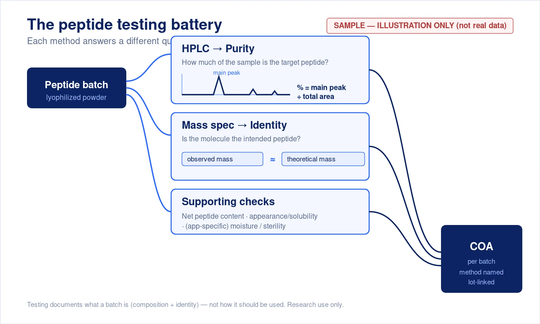 Sample illustration: a peptide batch is tested by HPLC for purity and mass spectrometry for identity, plus supporting checks, all compiled into a per-batch Certificate of Analysis. Illustration only, not real data.