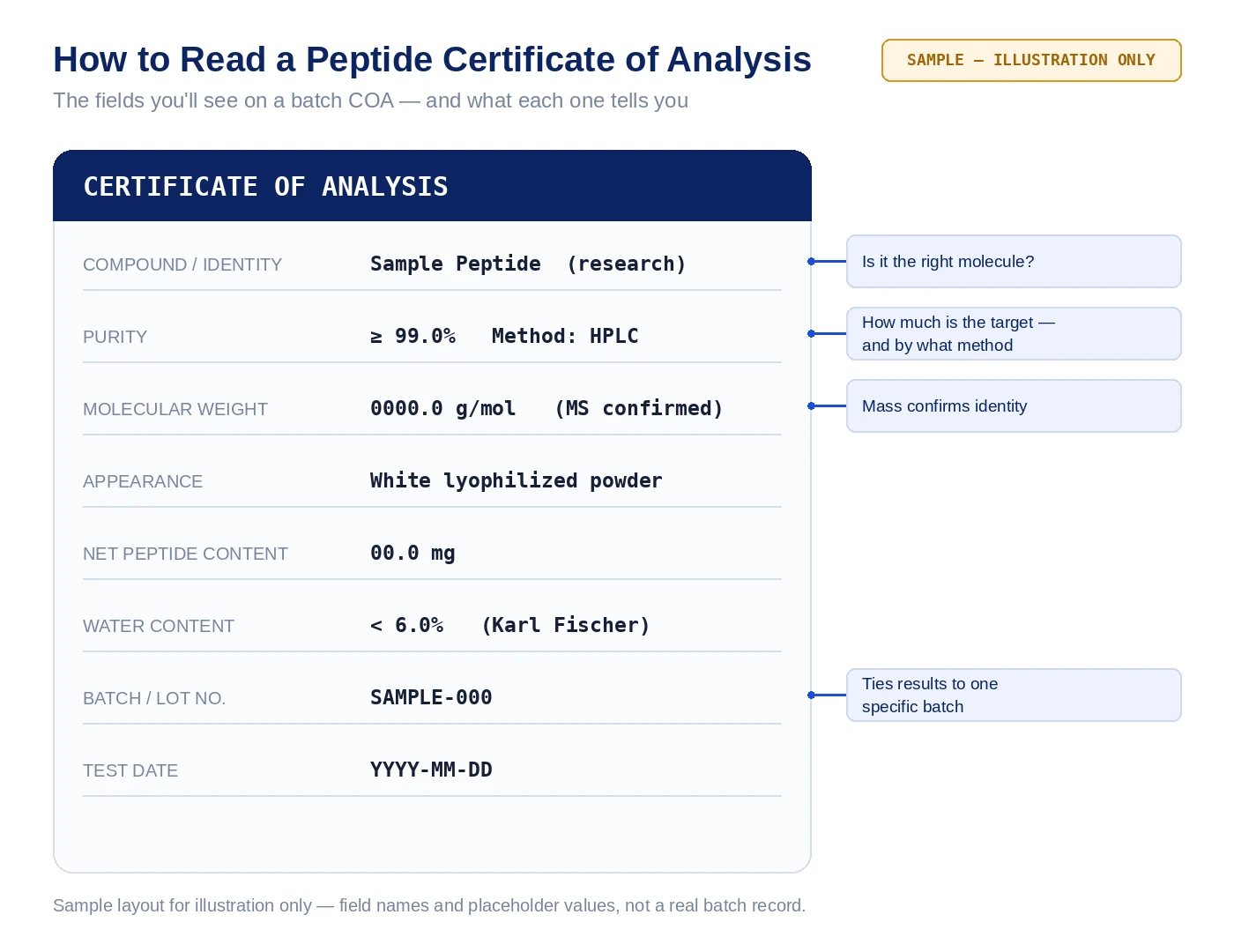 Annotated sample peptide Certificate of Analysis highlighting identity, purity percentage, molecular weight, appearance, and batch number fields. Sample layout for illustration only.