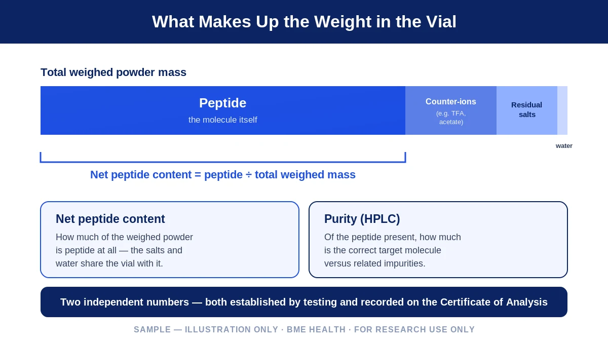 Sample illustration: a vial's total powder mass split into a large peptide fraction and smaller fractions labelled counter-ions, residual salts, and bound water, with net peptide content shown as the peptide share of the total. Illustration only, not real data.